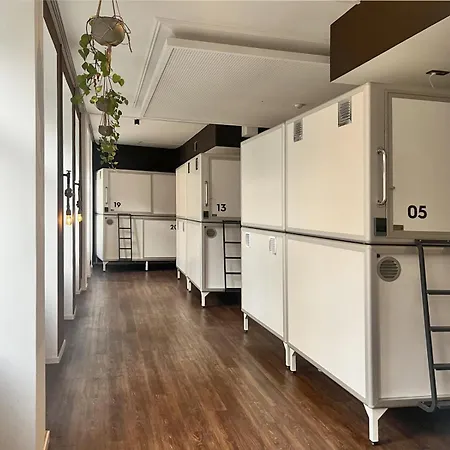 بيت شباب Five Elements & Capsules لبسيا