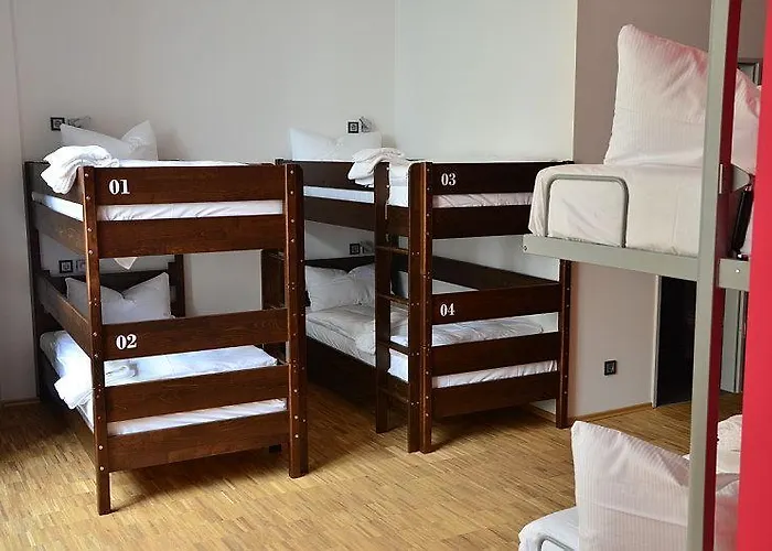 Five Elements & Capsules Hostel